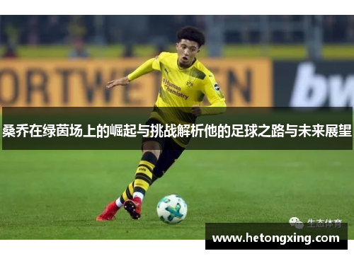 桑乔在绿茵场上的崛起与挑战解析他的足球之路与未来展望