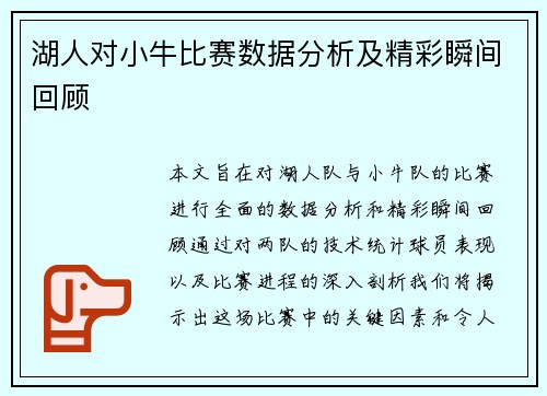 湖人对小牛比赛数据分析及精彩瞬间回顾